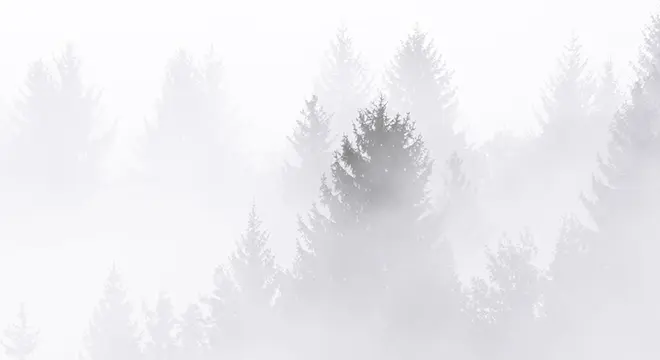 Blogimg16